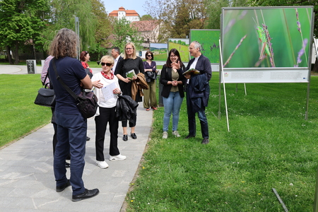 2025-04-22 11-35-19 - 1I5A2622